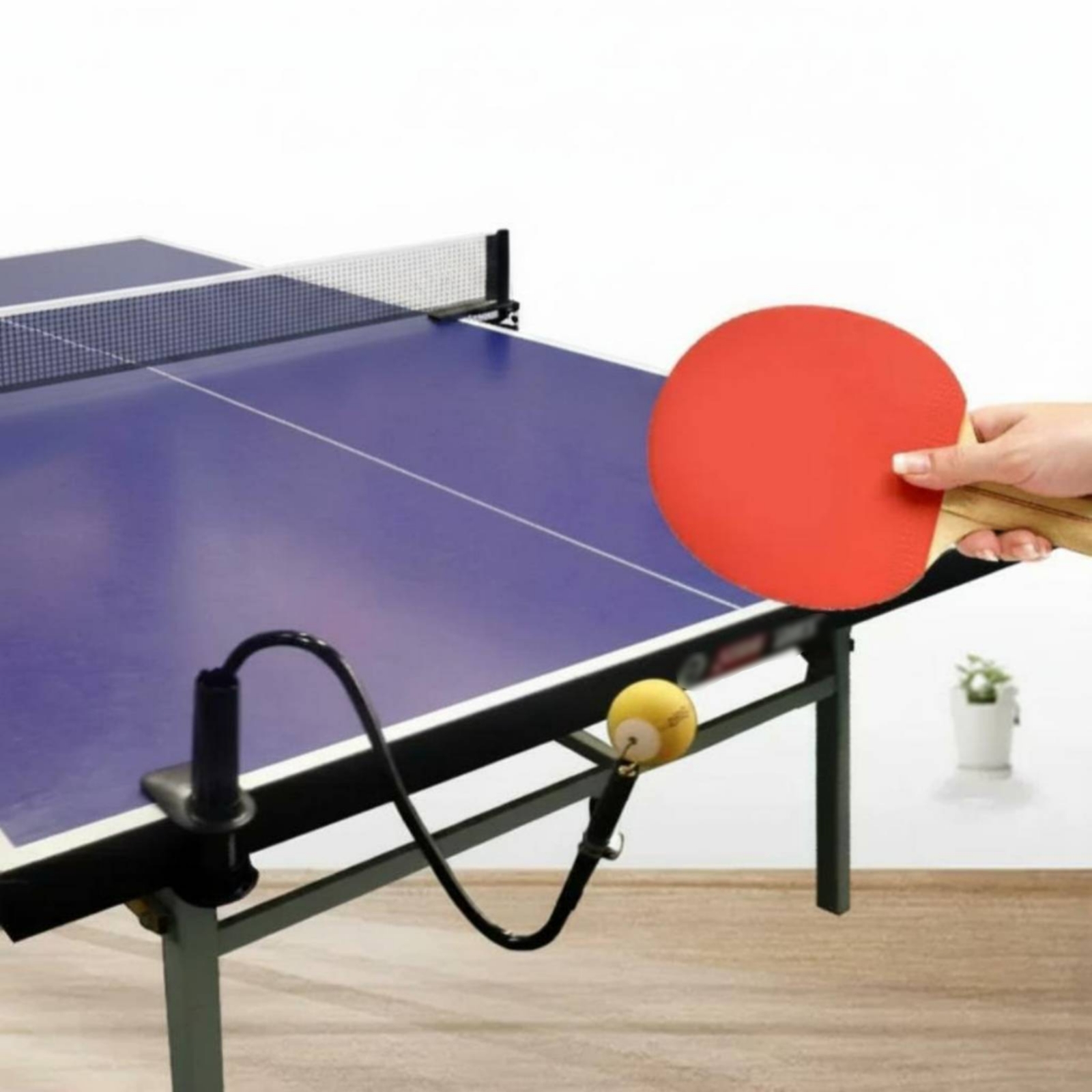 Alat Bantu Latihan Tenis Meja  - Table Tennis Youtube ulasan dan harga